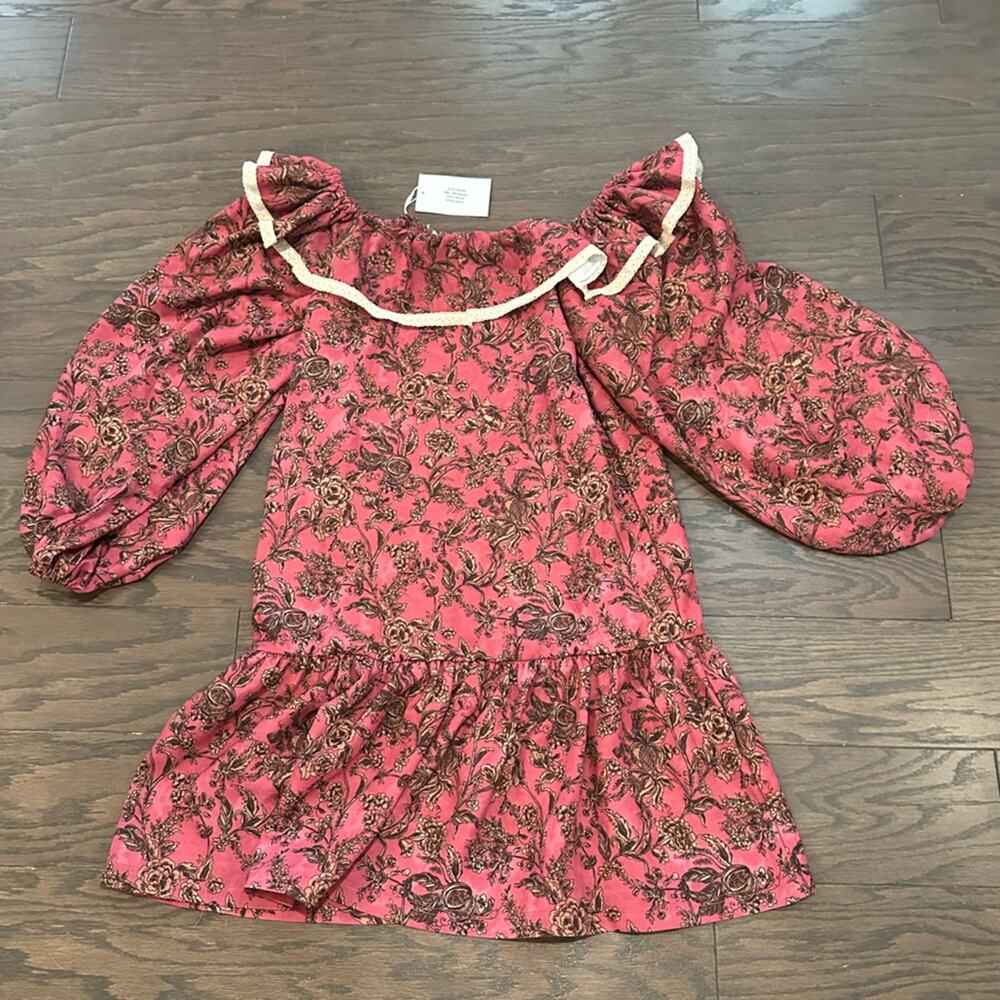 Smith & Quinn Dawn Dress Brush Flora Pink Floral Ruffle Mini Dress Size Small - Picture 6 of 11